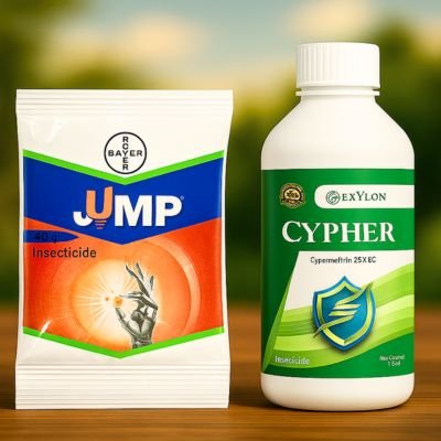 Insecticides