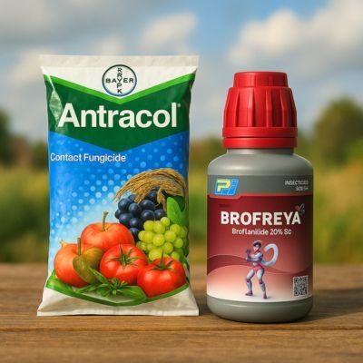 Crop Protection