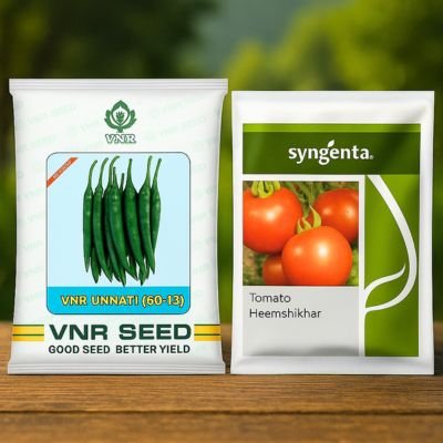 Seeds
