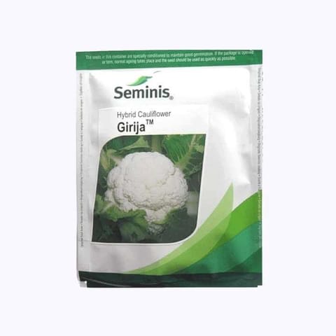 Bayer Seminis Girija Cauliflower Seeds