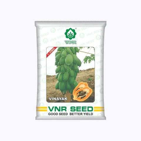 VNR Vinayak F1 Hybrid Papaya Seeds