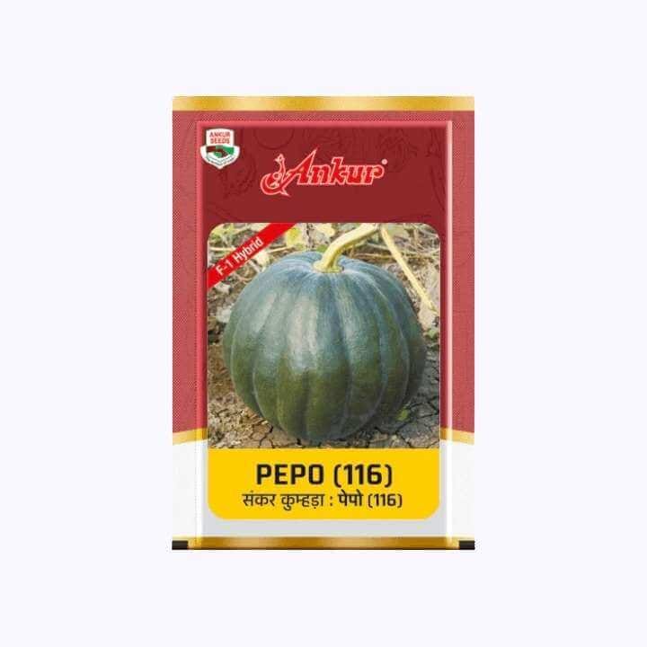 Ankur Pepo (116) F1 Hybrid Pumpkin Seeds