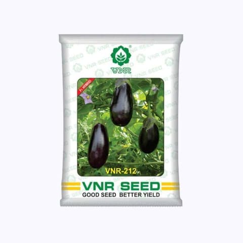 VNR-212 Brinjal Seeds - 10 gm