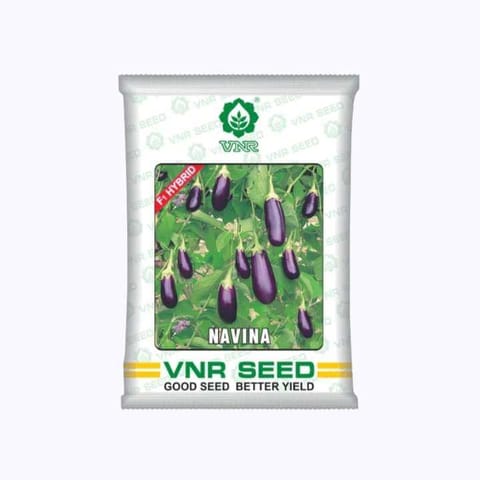 VNR Navina Brinjal Seeds