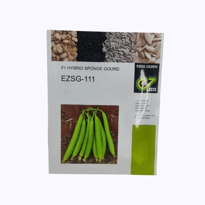 ENZA EZSG-111 F1 Hybrid Sponge Gourd Seeds - 10 gm