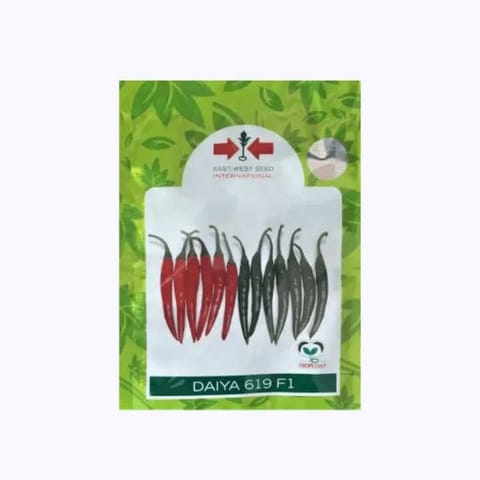 East West Daiya 619  Chilli Seeds