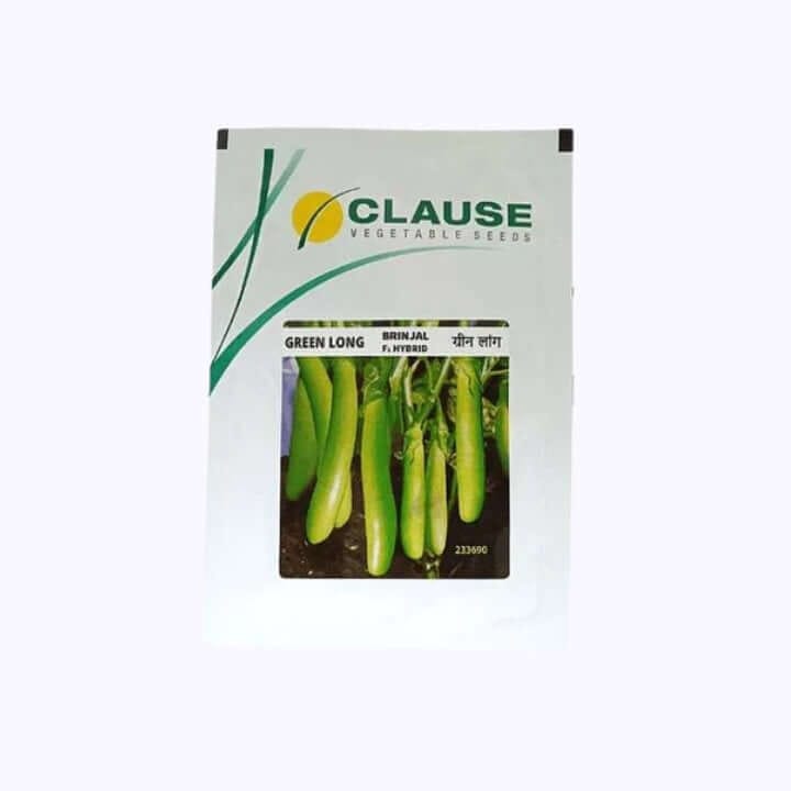 Clause Green Long Brinjal F1 Hybrid Seeds - 10g