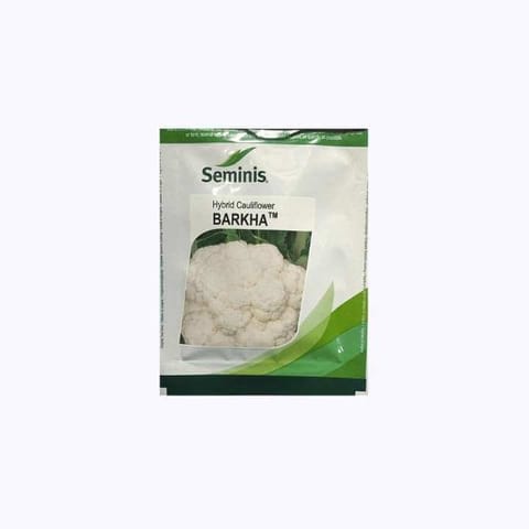 Seminis Barkha Cauliflower Seeds