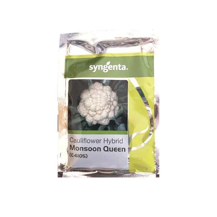 Syngenta Monsoon Queen C-1605 Cauliflower Seeds
