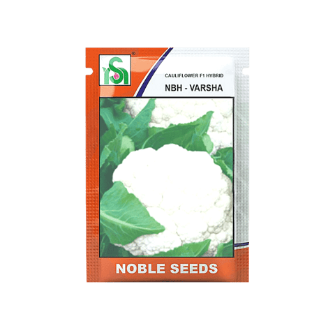 Noble NBH - Varsha Cauliflower Seeds