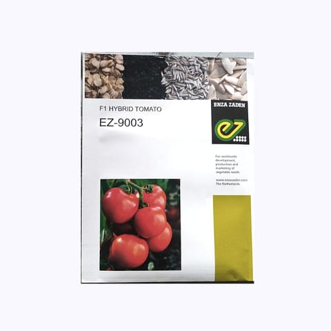 Enza Zaden EZ-9003 Tomato Seed