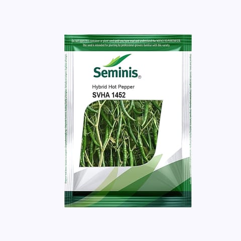 Seminis SVHA 1452 Chilli Seeds