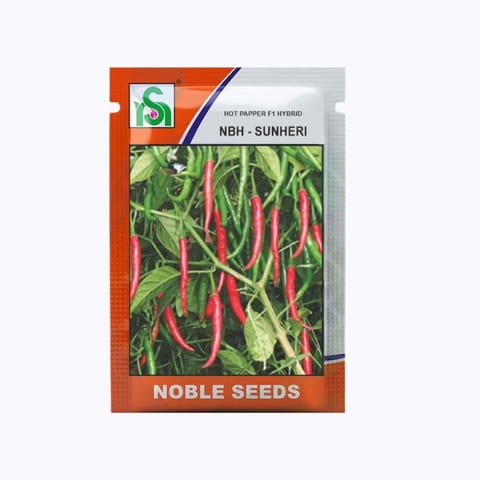 Noble NBH-Sunheri Chilli Seeds