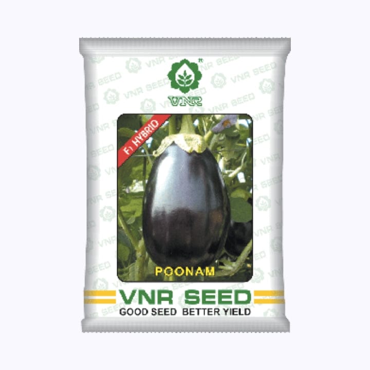 VNR Poonam Brinjal Seeds