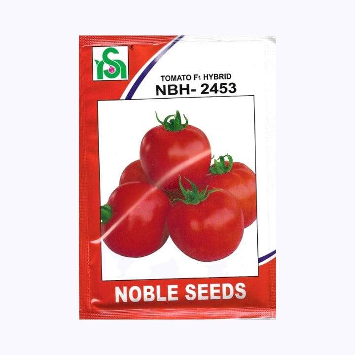 Noble NBH-2453 Tomato Seeds