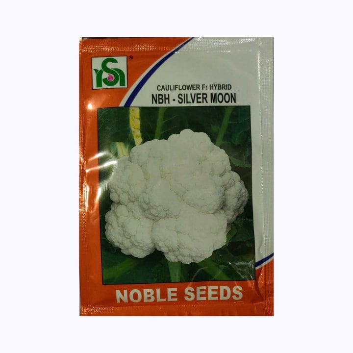 नोबल एनबीएच-सिल्वर मून फूलगोभी के बीज