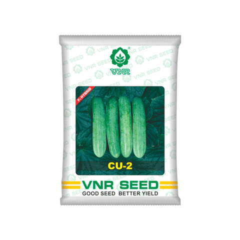 VNR CU-2 Cucumber Seeds