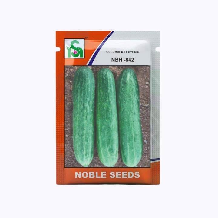 Noble NBH-842 Cucumber Seeds