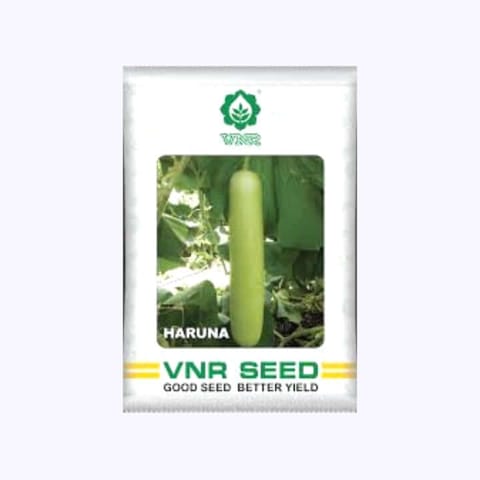 VNR Haruna Bottle Gourd Seeds