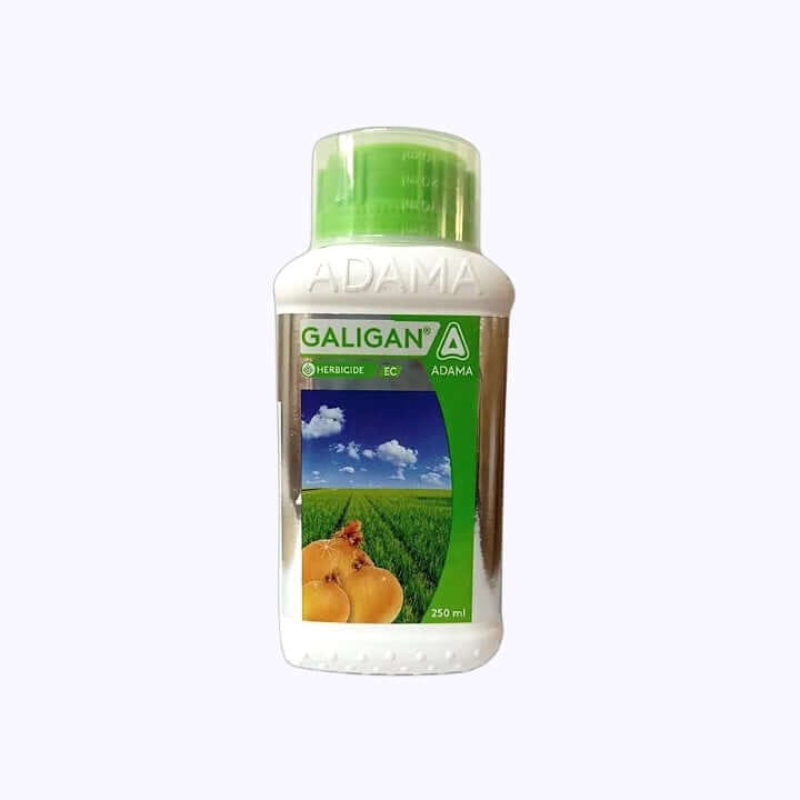 Adama Galigan Oxyfluoren 23.5% EC Herbicide