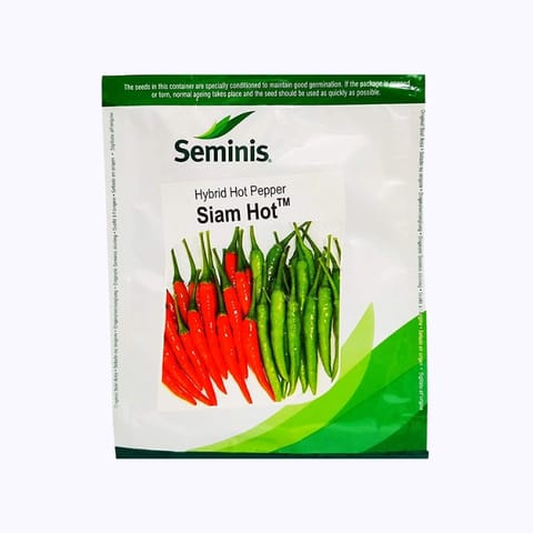 Seminis Siam Hot Chilli Seeds