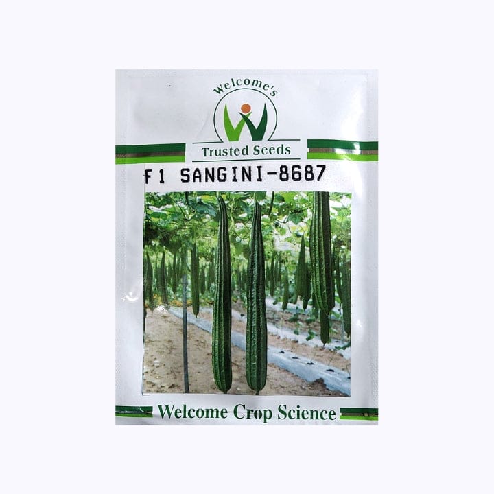 Welcome Sangini-8687 Ridge Gourd Seeds