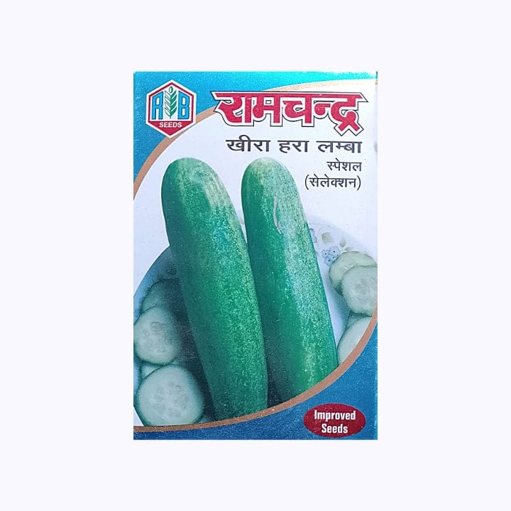 Ramchandra Cucumber Seeds
