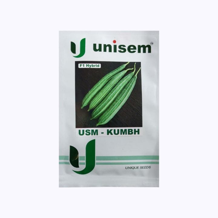 Unisem USM-Kumbh Ridge Gourd Seeds