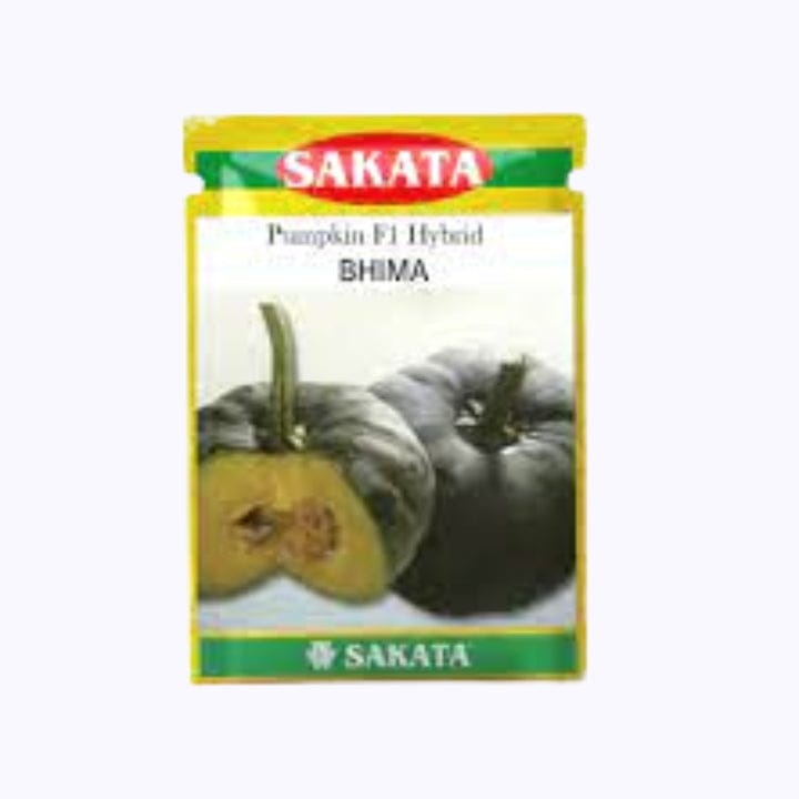 Sakata Bhima Pumpkin Seeds