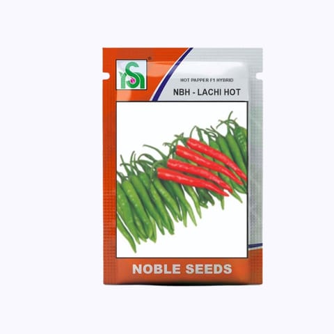 Noble NBH-Lachi Hot (NBL-1104) Chilli Seeds