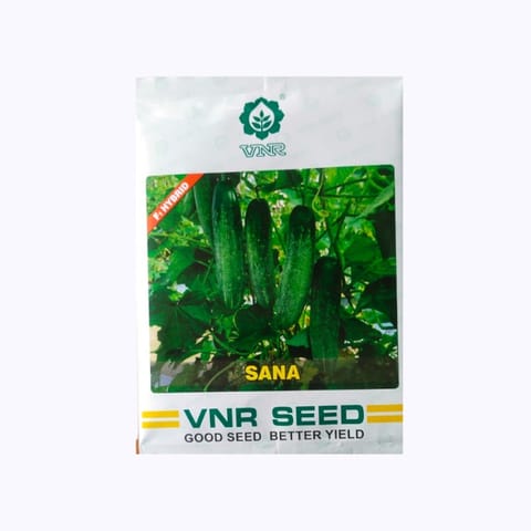 VNR Sana Cucumber Seeds