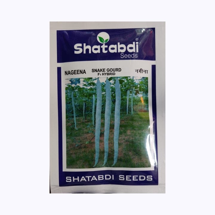 Shatabdi Nagin Snake Gourd Seeds
