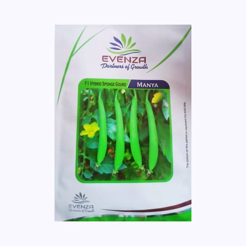 Evenza Manya Sponge Gourd Seeds