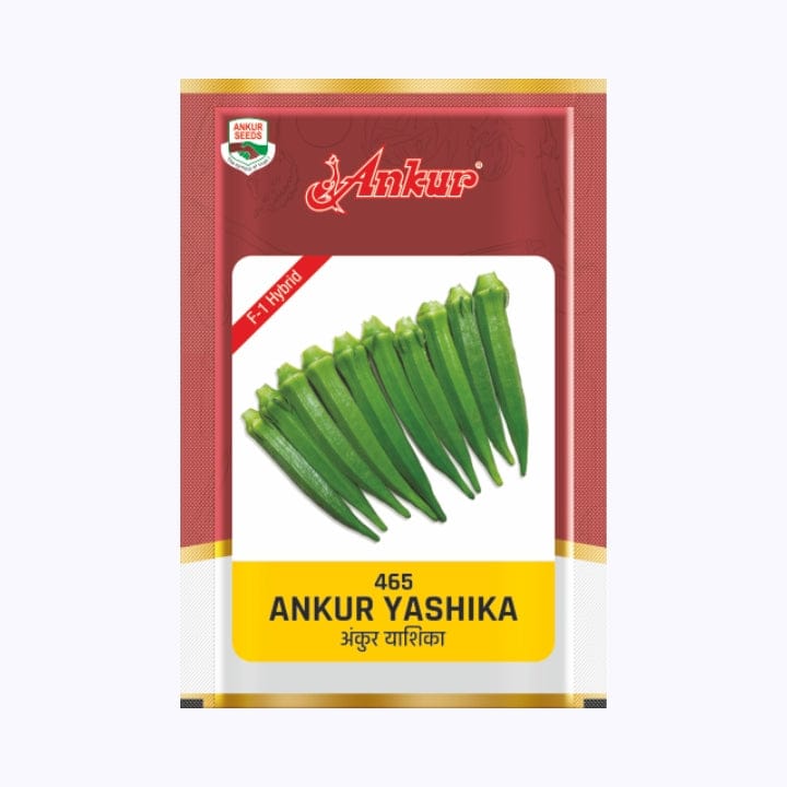 Ankur 465 Yashika Bhindi Seeds