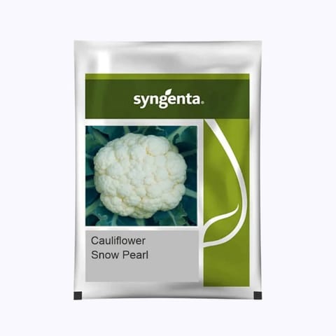 Syngenta Snow Pearl (C7008) Cauliflower Seeds