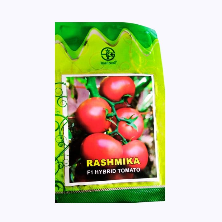 Kaveri Rashmika Tomato Seeds