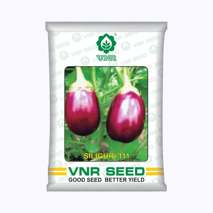 VNR Silliguri-111 Brinjal Seeds