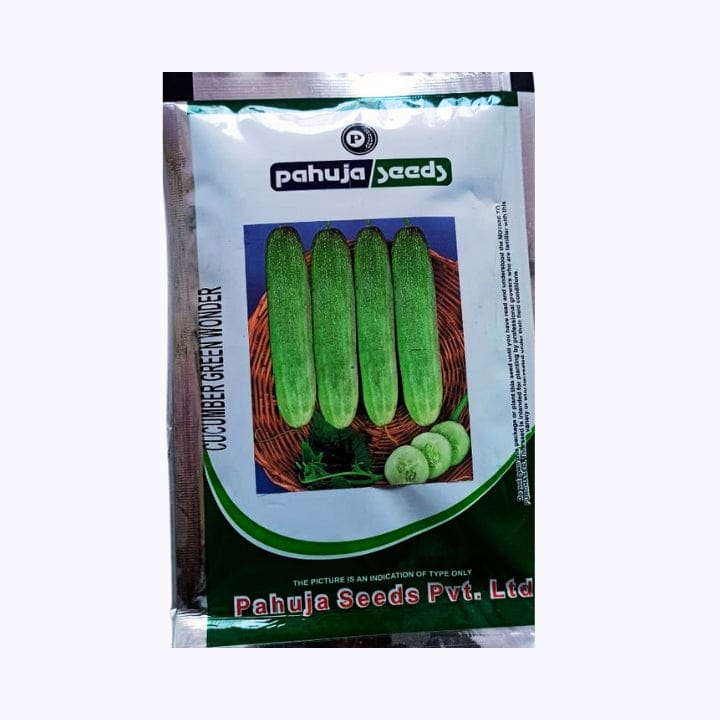 Pahuja Green Wonder Cucumber Seeds