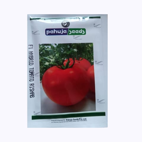 Pahuja Rishab Tomato Seeds