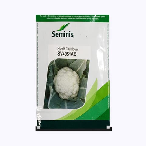 Seminis SV4051AC Cauliflower Seeds