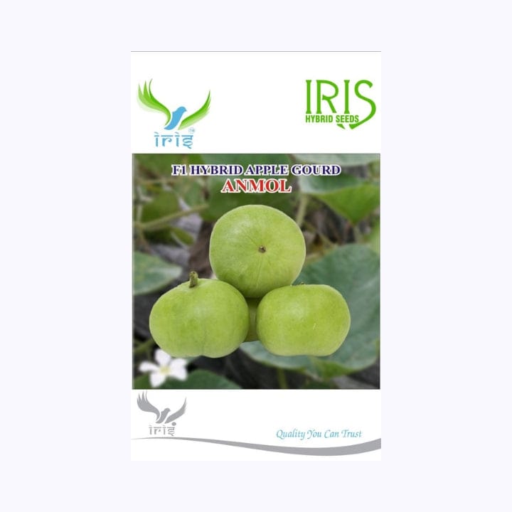 Iris Apple Gourd (Tinda) Seeds