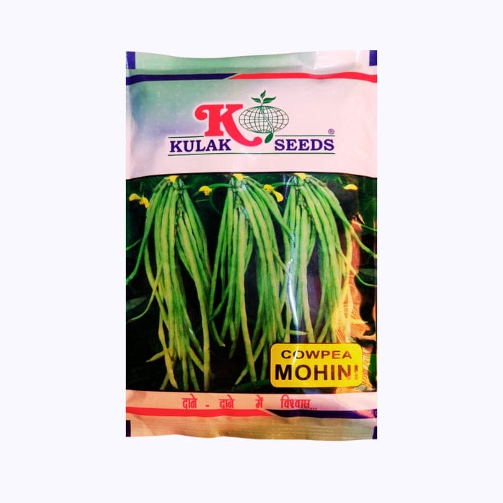 Kulak Mohini Cowpea Seeds