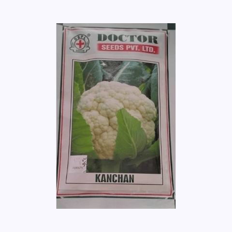 Doctor Kanchan Cauliflower Seeds