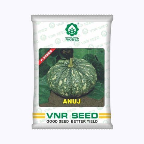 VNR Anuj Pumpkin Seeds