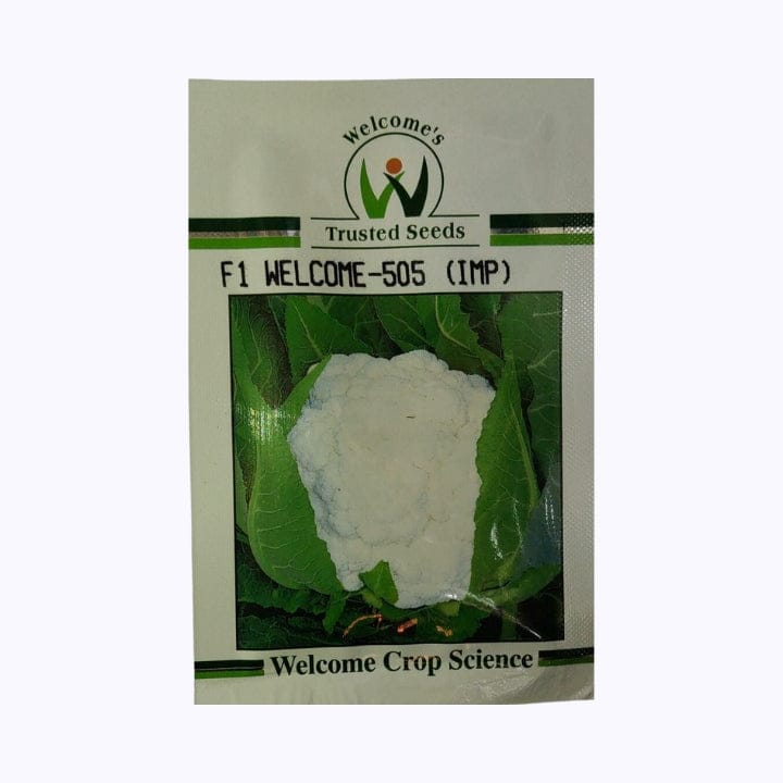 Welcome-505 (IMP) Cauliflower Seeds