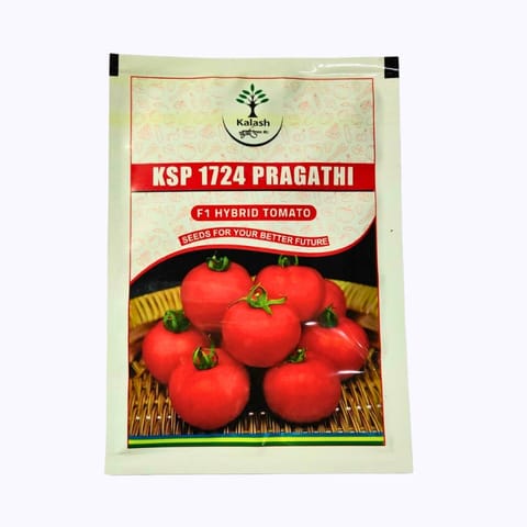 Kalash KSP 1724 Pragathi Tomato Seeds