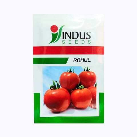 Indus Rahul Tomato Seeds