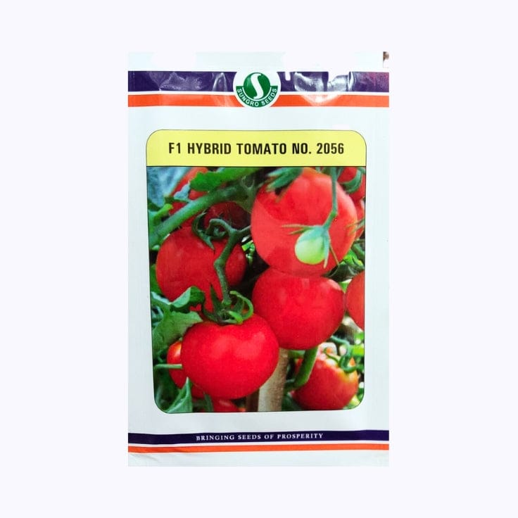Sungro 2056 Tomato Seeds