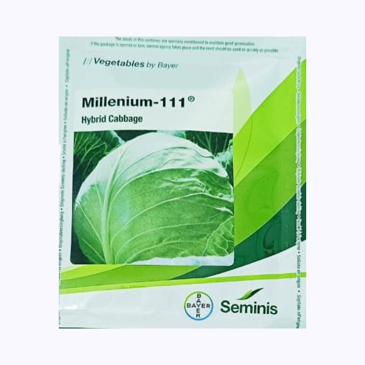 Seminis Millenium-111 Cabbage Seeds