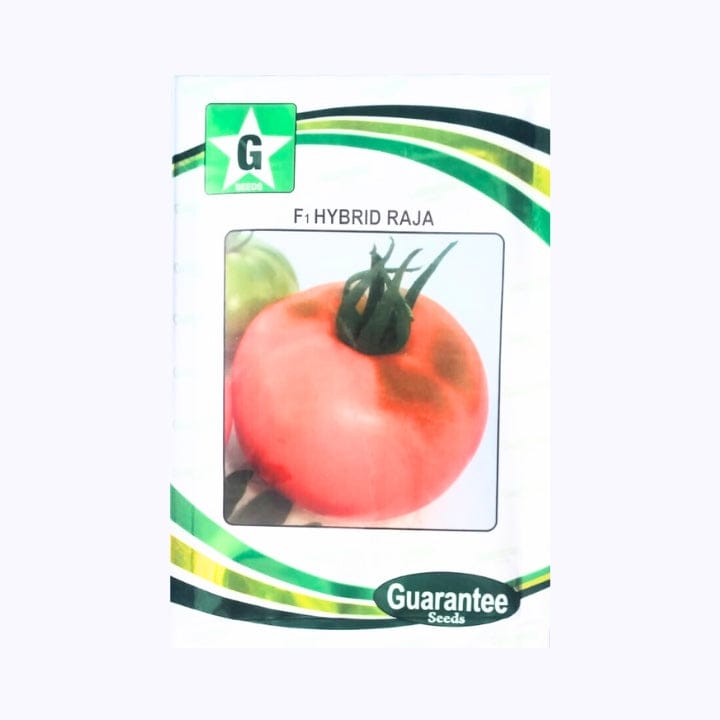 Guarantee Raja Tomato Seeds